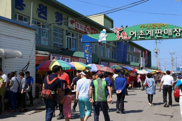 [Chungcheongnam-do] Festival del Cangrejo y el Jeoneo del Puerto de Hongwon en Seocheon (서천 홍원항 자연산 전어 꽃게 축제)