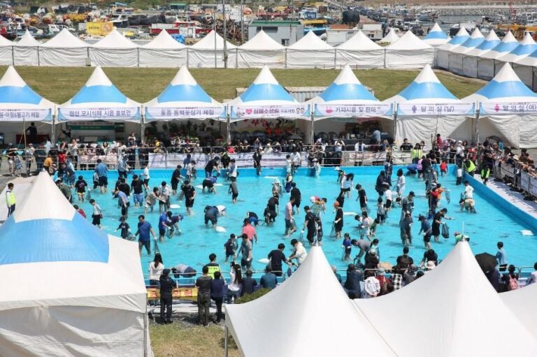 [Chungcheongnam-do] Festival de la Platija y el Besugo de Seocheon (서천 자연산 광어 도미 축제)