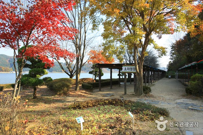 [Chungcheongnam-do] Embalse Yedang (예당저수지)