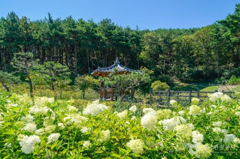 [Gyeongsangbuk-do] Sendero de Bienestar en el Bosque del Monte Unjesan (운제산산림욕장)
