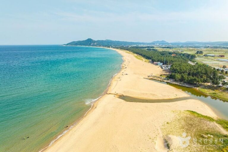 [Gyeongsangbuk-do] Playa Goraebul (고래불해수욕장)
