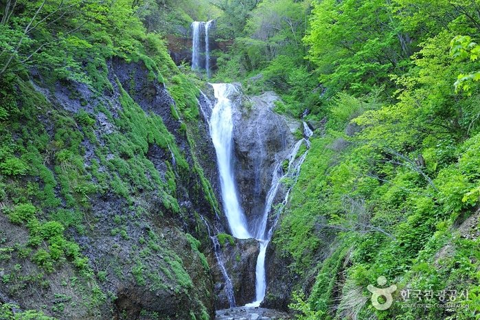 [Gyeongsangbuk-do] Cascadas Bongnae (봉래폭포 (울릉도, 독도 국가지질공원))