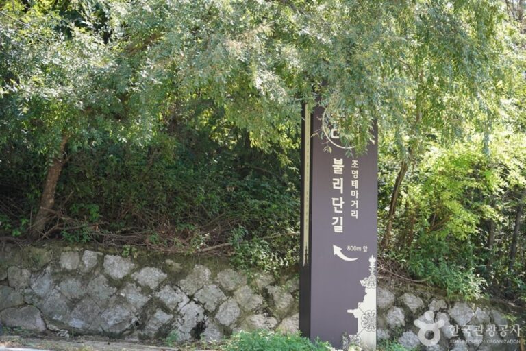 [Gyeongsangbuk-do] Calle Bullidan-gil (불리단길)