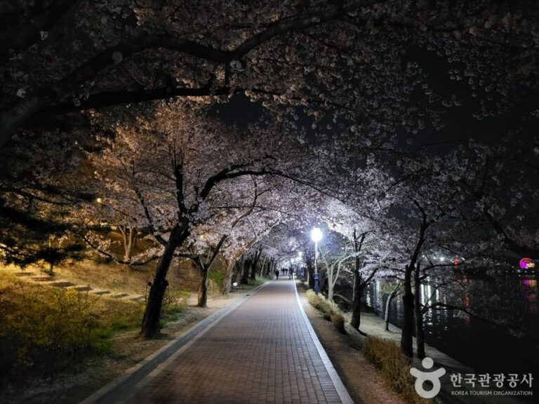 [Gyeongsangbuk-do] Lago Bomun (보문호)
