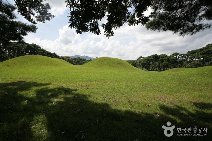 [Gyeongsangbuk-do] Tumbas Reales Oreung de Gyeongju (경주 오릉)