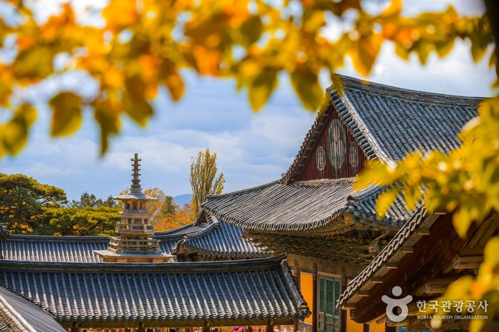 [Gyeongsangbuk-do] Templo Bulguksa en Gyeongju (경주 불국사) [Patrimonio Cultural de la Humanidad de la Unesco]