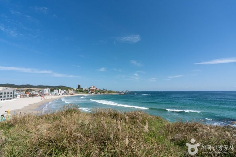 [Gyeongsangbuk-do] Playa Guryongpo (구룡포해수욕장)