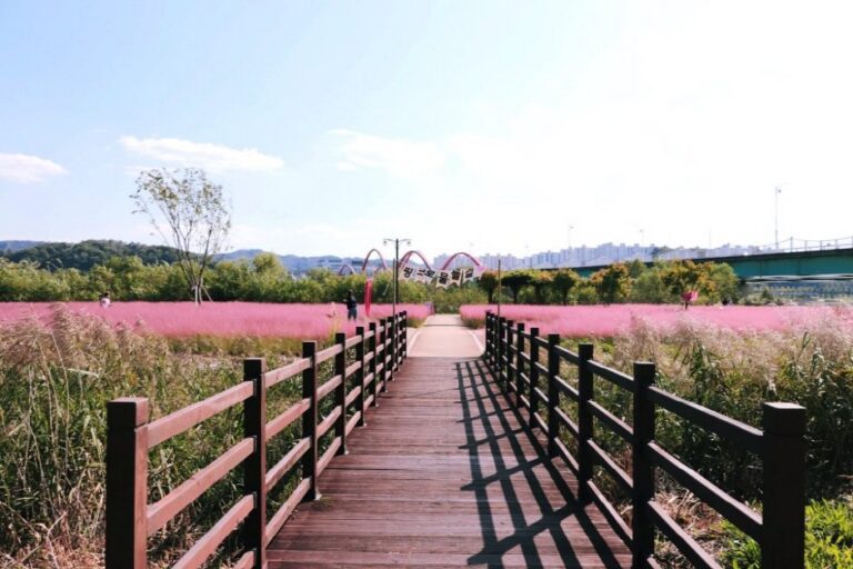 [Gyeongsangbuk-do] Grass One (그라스원)