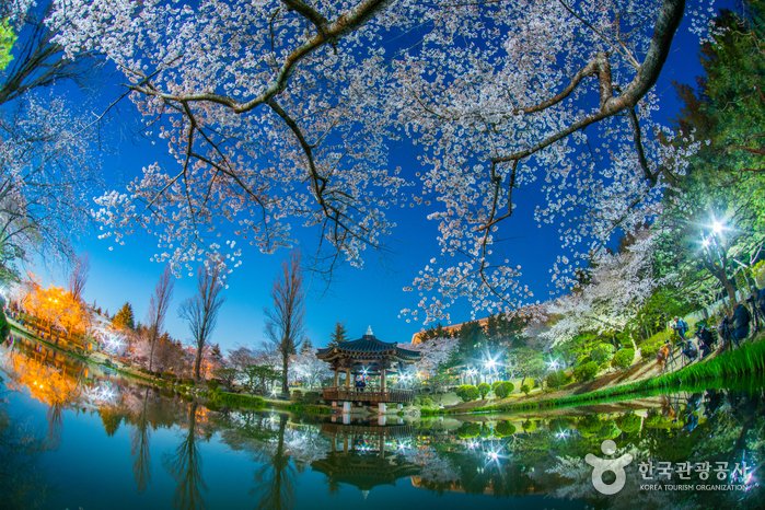 [Gyeongsangbuk-do] Pabellón Bomunjeong en Gyeongju (보문정 (경주))