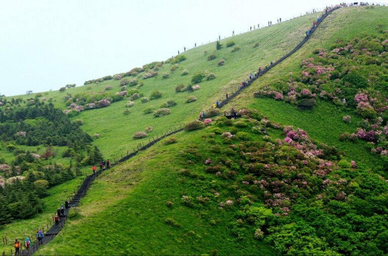 [Gyeongsangbuk-do] Parque Nacional del Monte Sobaeksan (Gyeongbuk) (소백산국립공원(경북))