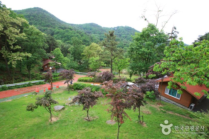 [Gyeongsangbuk-do] Parque Natural Recreativo Songjeong (송정자연휴양림)