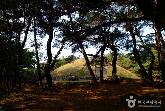 [Gyeongsangbuk-do] Tumba de la Reina Seondeok en Gyeongju (경주 선덕여왕릉)