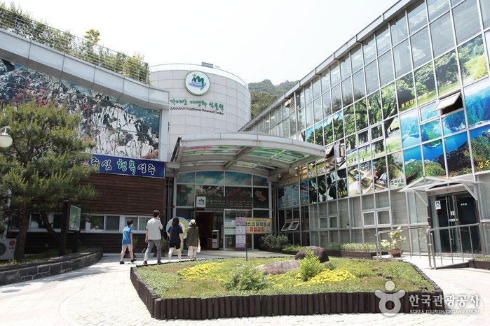 [Gyeongsangbuk-do] Jardín Botánico de Plantas Silvestres de Gayasan (가야산 야생화식물원)