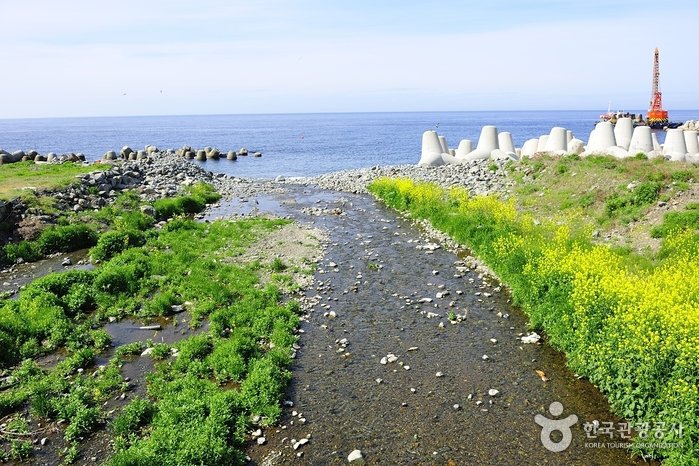 [Gyeongsangbuk-do] Playa Tonggumi Mongdol (통구미몽돌해변)