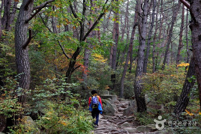 [Gyeongsangbuk-do] Monte Namsan de Gyeongju (경주 남산)