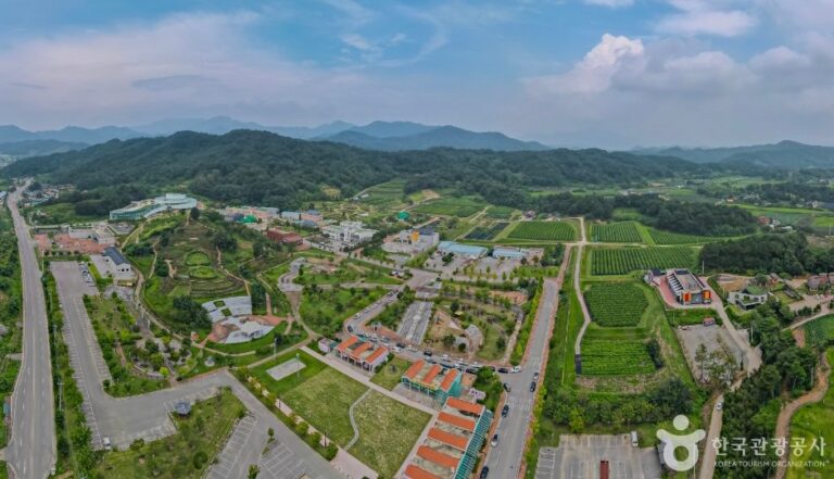 [Gyeongsangbuk-do] Centro de Insectos Jamsa (잠사곤충사업장)