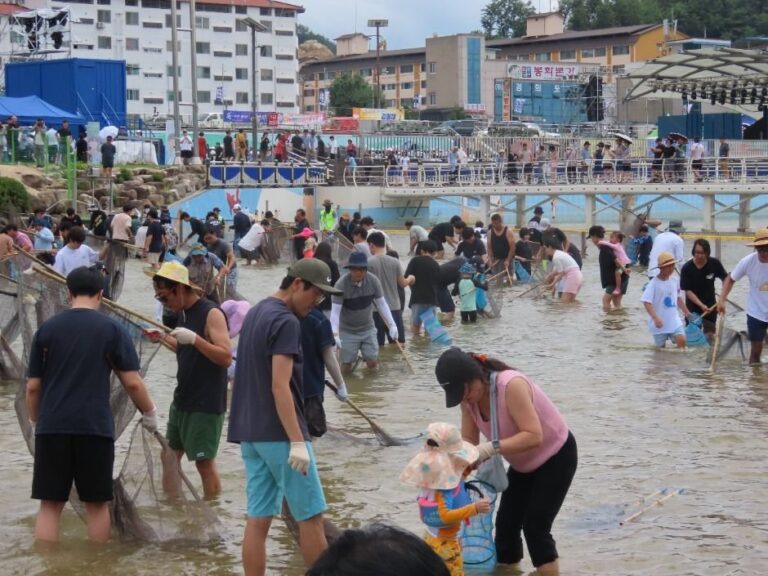 [Gyeongsangbuk-do] Festival del Pez de Agua Dulce de Bonghwa (봉화은어축제)