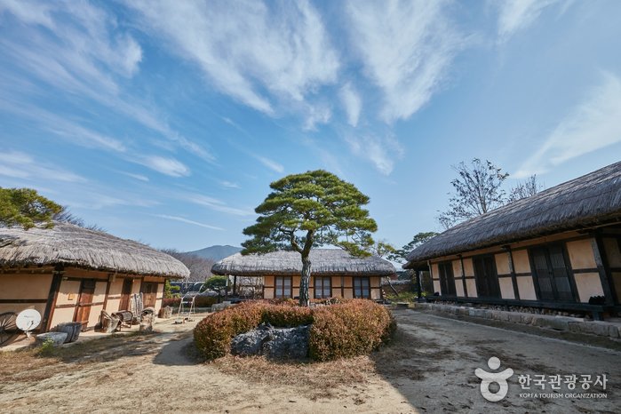 [Gyeongsangbuk-do] RakKoJae Andong(Hahoe) / 락고재 안동(하회)