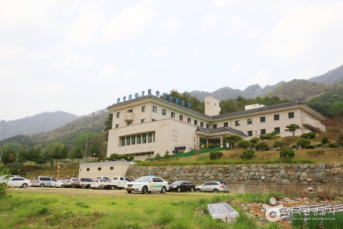 [Gyeongsangbuk-do] Mungyeong Tourist Hotel (문경관광호텔)