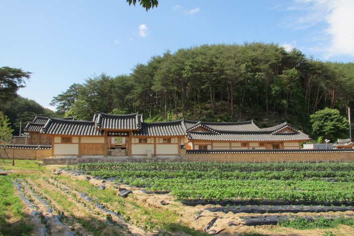 [Gyeongsangbuk-do] On-gye Jongtaeg  (Sambaegdang)/ 온계종택 삼백당