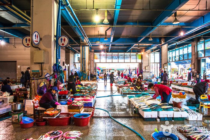 [Gyeongsangbuk-do] Mercado Jukdo de Pohang (포항 죽도시장)