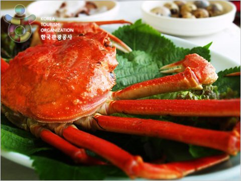 [Gyeongsangbuk-do] Jukdosan (죽도산)