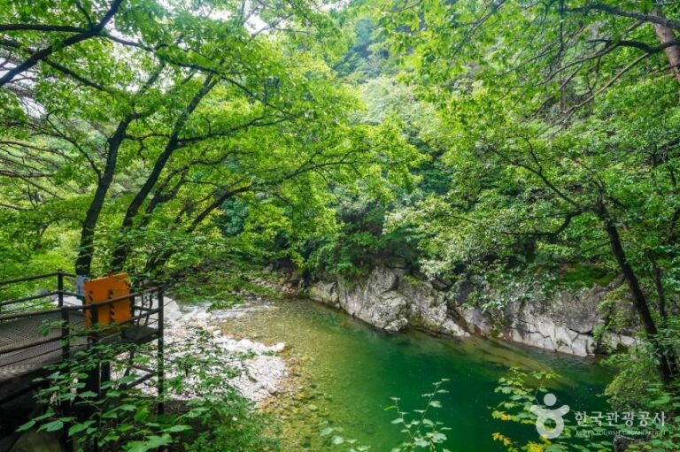 [Gyeongsangnam-do] Valle Hongnyudong (홍류동계곡)