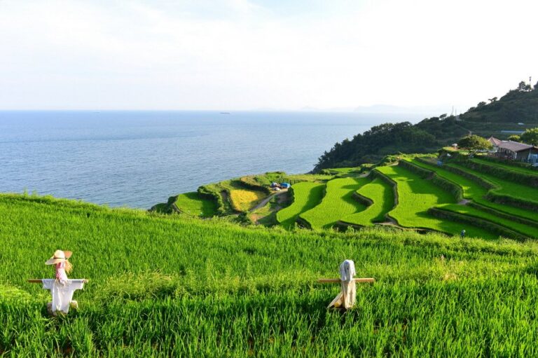 [Gyeongsangnam-do] Aldea Daraengi de Gacheon (가천 다랭이마을)