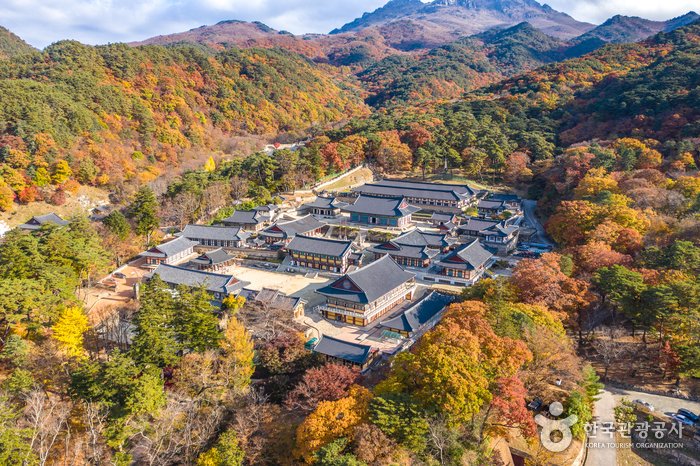 [Gyeongsangnam-do] Templo Haeinsa en Hapcheon (해인사(합천))