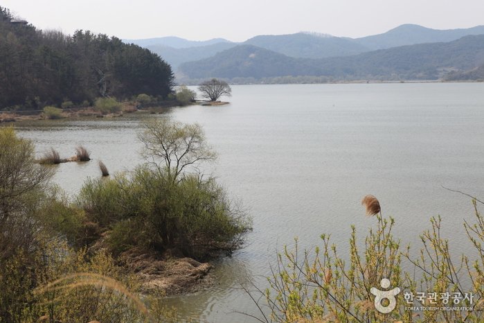 [Gyeongsangnam-do] Pantano Upo de Changnyeong (창녕 우포늪)