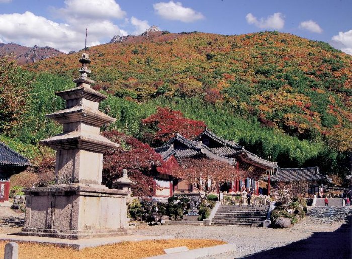 [Gyeongsangnam-do] Templo Pyochungsa en Miryang (표충사(밀양))