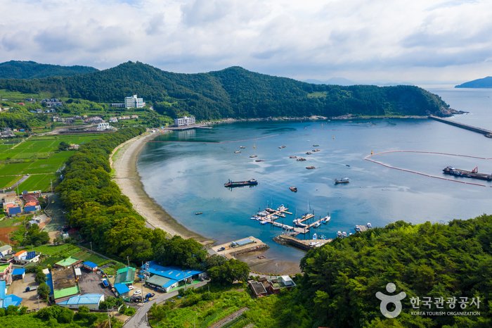 [Gyeongsangnam-do] Bosque Bangjoeoburim en Mulgeon-ri de Namhae (남해 물건리 방조어부림)