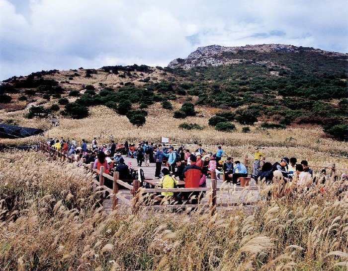 [Gyeongsangnam-do] Monte Jaeyaksan (재약산)