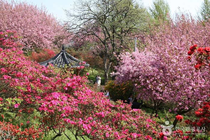 [Jeollabuk-do] Parque del Monte Wansan (완산공원)