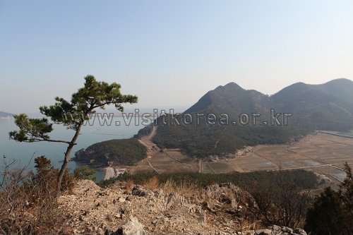 [Jeollabuk-do] Aldea de Actividades de Pesca de la Isla Sinsido (신시도 어촌체험마을)