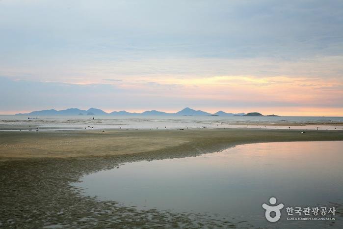 [Jeollabuk-do] Playa Dongho (동호해수욕장)