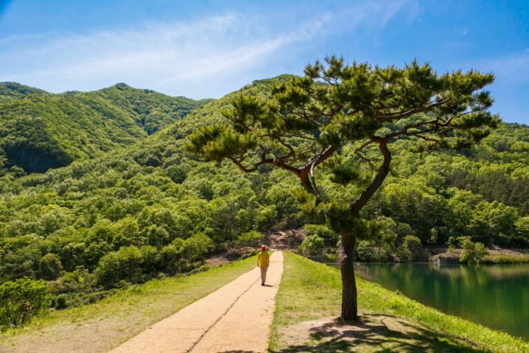 [Jeollabuk-do] Embalse Oseongje (오성제 저수지)
