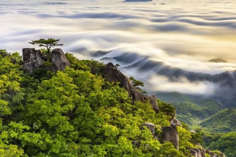 [Jeollabuk-do] Parque Provincial del Monte Daedunsan (Jeonbuk) (대둔산도립공원(전북))