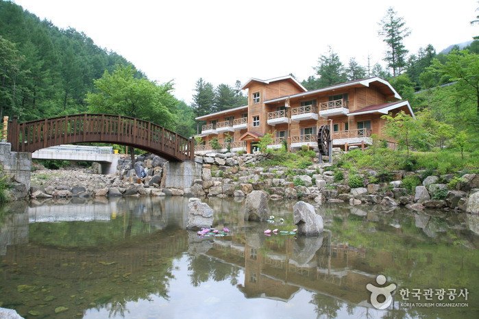 [Jeollabuk-do] Bosque Recreativo Nacional del Monte Deogyusan (국립 덕유산자연휴양림)