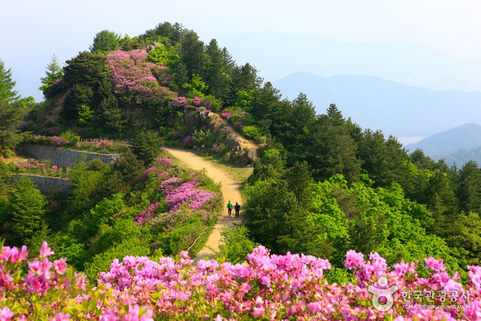 [Jeollabuk-do] Pico Baraebong (바래봉)