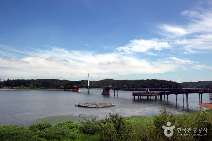 [Jeollabuk-do] Parque del Lago Eunpa (은파호수공원)