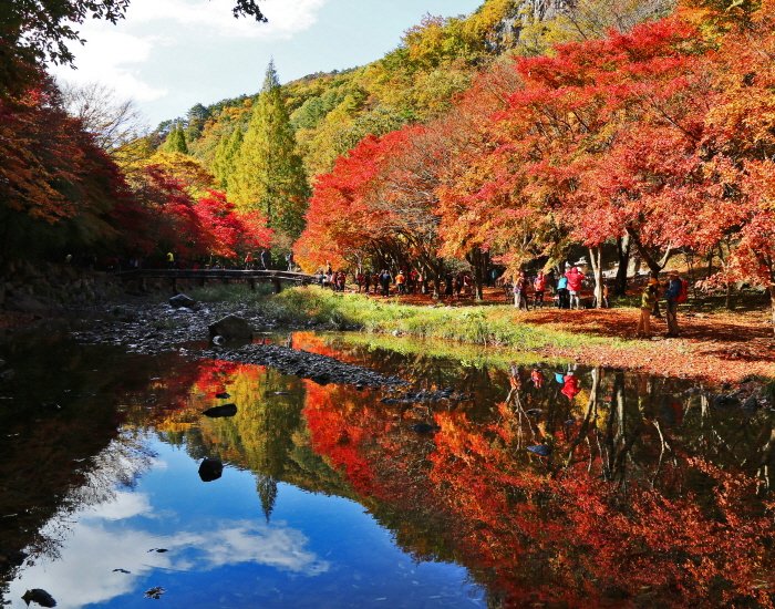 [Jeollabuk-do] Parque Distrital del Monte Gangcheonsan (강천산군립공원)
