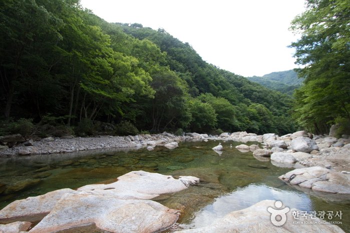 [Jeollabuk-do] Valle Baemsagol (뱀사골계곡)
