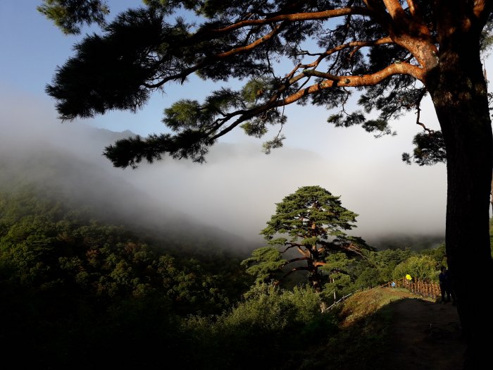 [Jeollabuk-do] Aldea Waun de Baemsagol (뱀사골 와운마을)