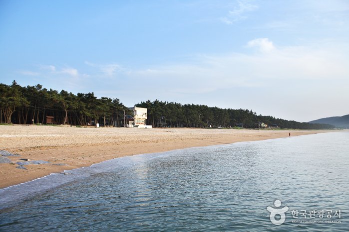 [Jeollabuk-do] Playa Gosapo (고사포해수욕장)