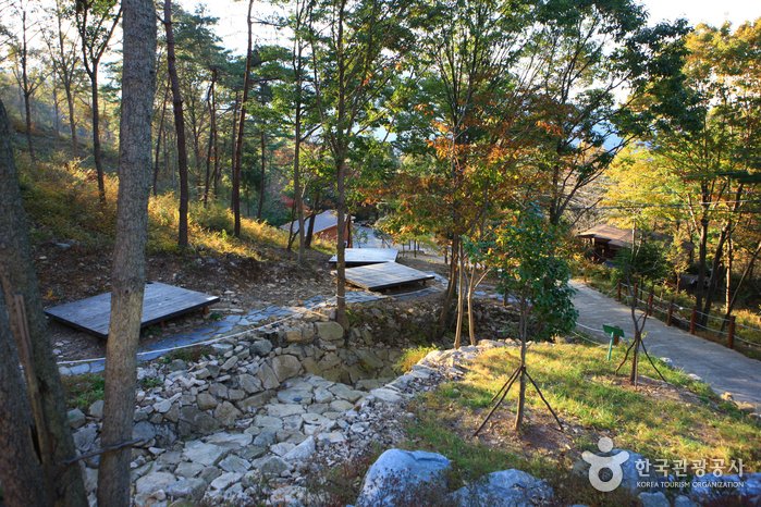[Jeollanam-do] Bosque Recreativo Nacional del Monte Cheongwansan (국립 천관산자연휴양림)