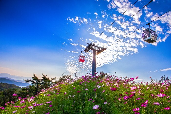 [Jeollanam-do] Teleférico Marino de Mokpo (목포 해상케이블카)