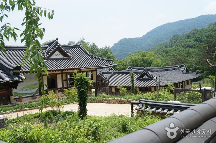 [Jeollanam-do] Casa del Té Silvestre de Suncheon (순천전통야생차체험관)