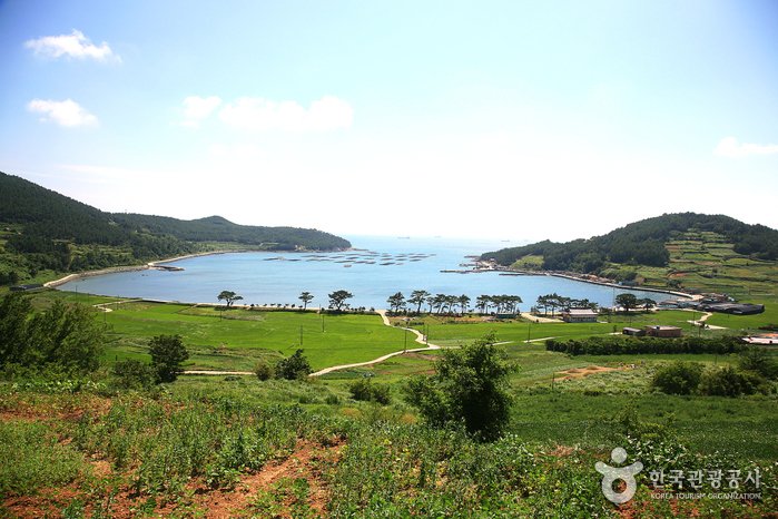 [Jeollanam-do] Isla Cheongsando (청산도)