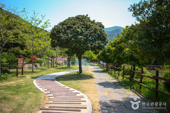 [Jeollanam-do] Arboreto de Wando (완도수목원)